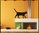 Wandtattoo Katze- Farb- und Größenwahl