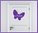 Wandtattoo Schmetterling mit Name- Farbwahl